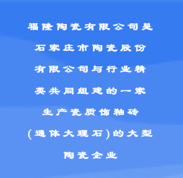 瓷質(zhì)飾釉磚(通體大理石)